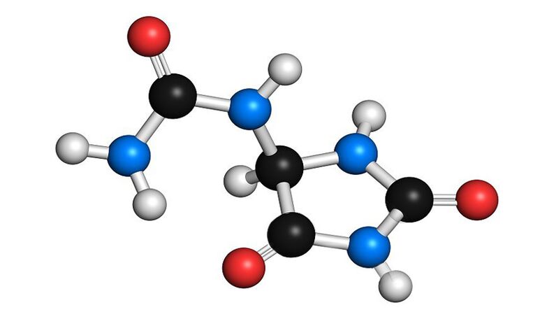 Allantoin Hondrolife