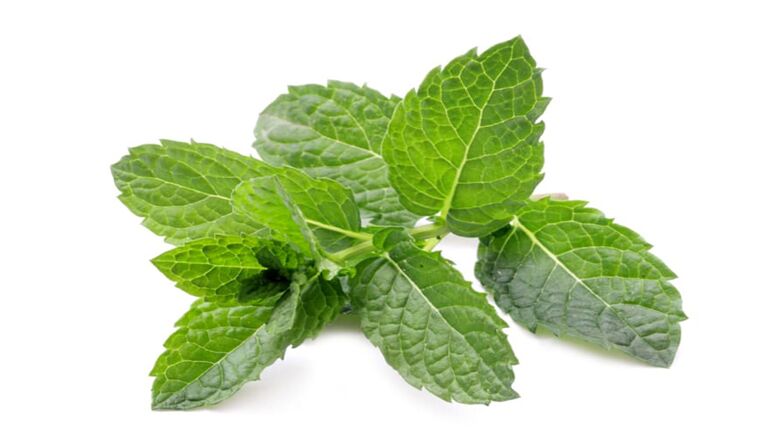 Mint in Hondrolife